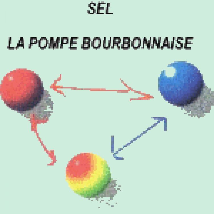S E L La Pompe Bourbonnaise accepte la monnaie locale